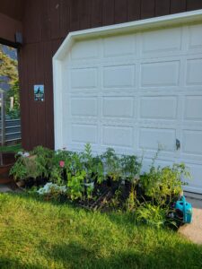 Gardening, Hip-Hop and Brown Spirits are three of our passions.