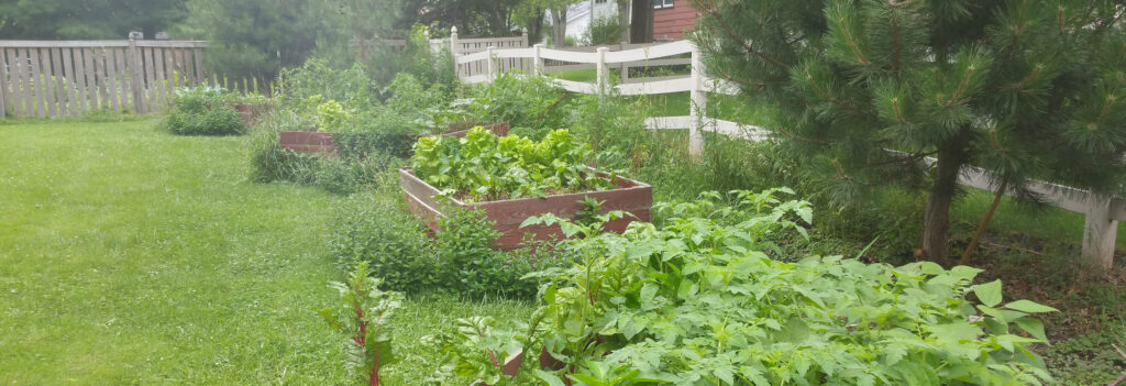 raised-bed-gardening