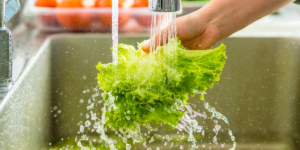 washing your fruits and vegetables